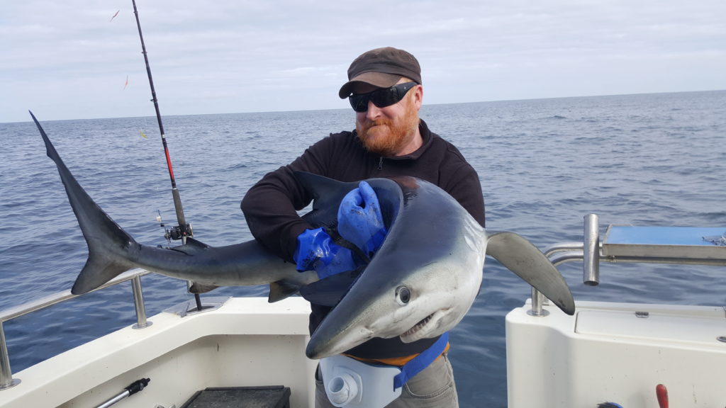 John Dillon mit seinem Blauhai